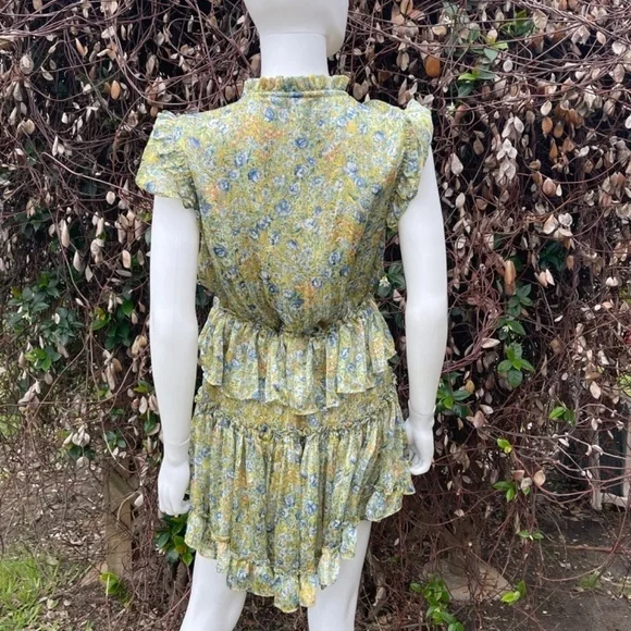 💋RESET Floral Print Ruffle Short Sleeve Layered Skirt Mini Dress - Picture 4 of 8